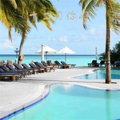 木奇灵植物测试